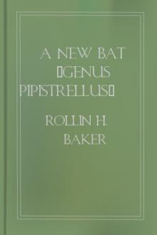 A New Bat (Genus Pipistrellus) from Northeastern Mexico